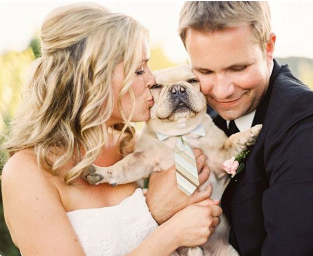 Pareja boda perro 2