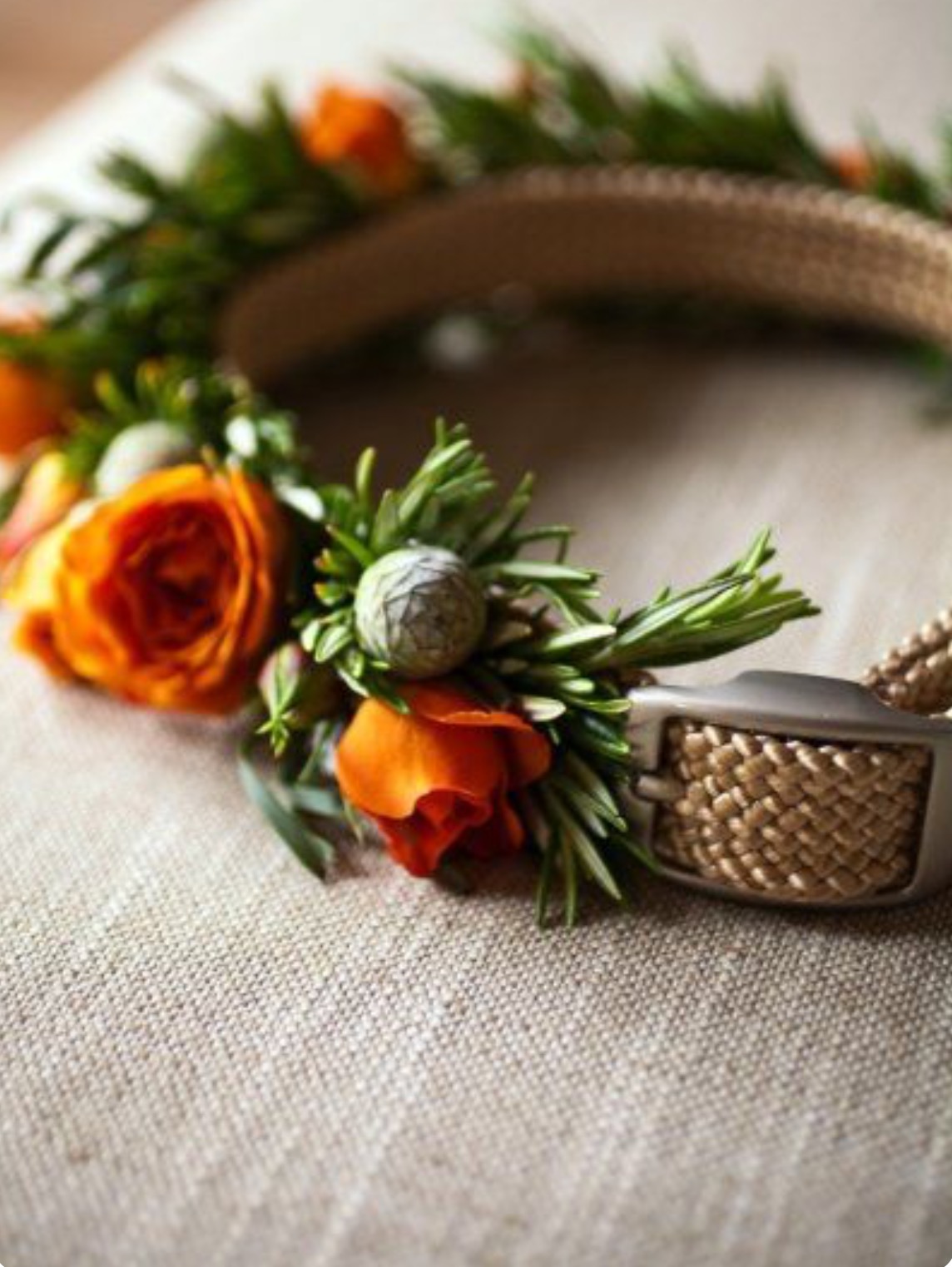 Collar perro flor