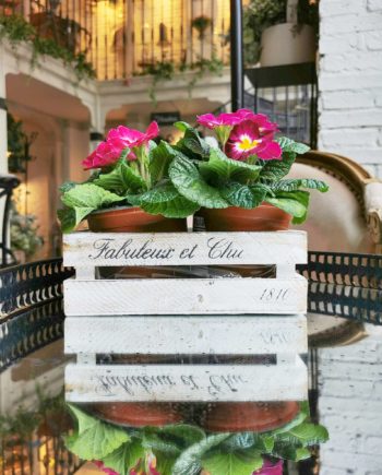 Caja de madera blanca "Fabuleux et chic"